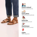 Oliva ss26 adulto caracteristicas 2