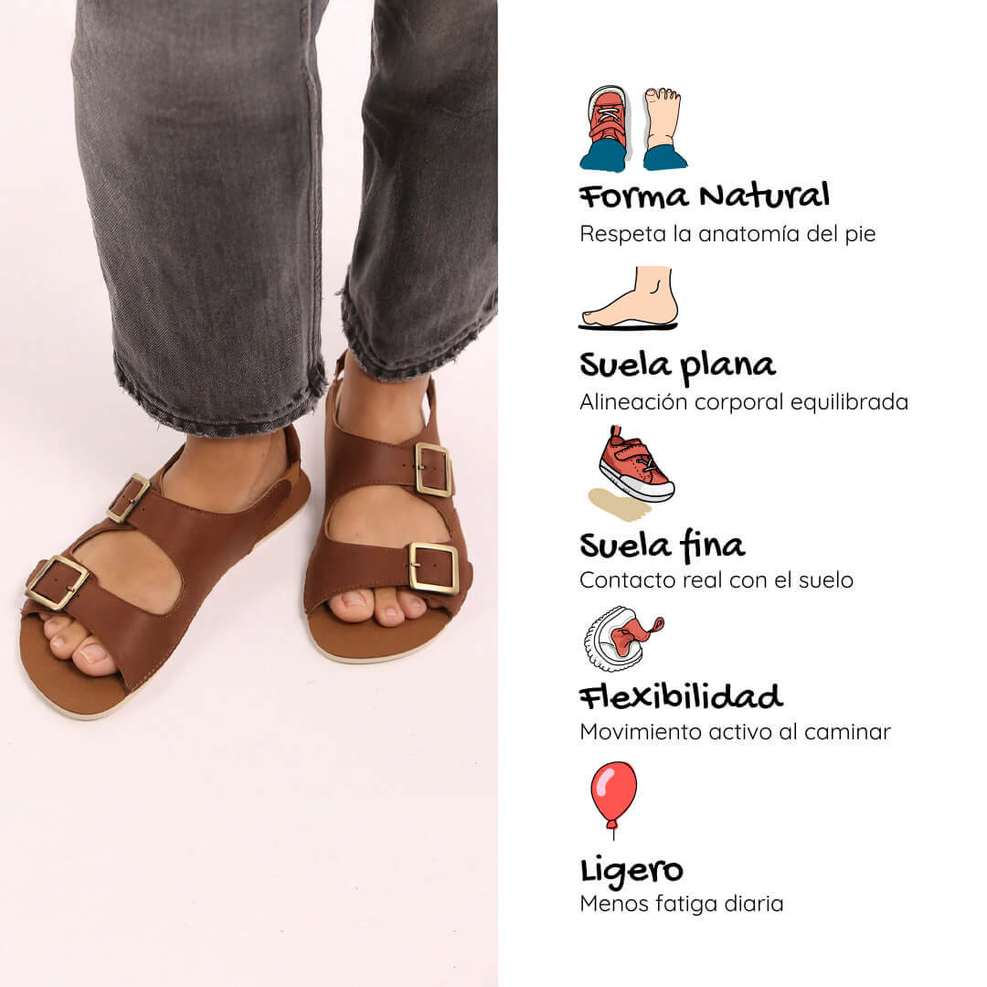 Saler ss26 adulto caracteristicas 2